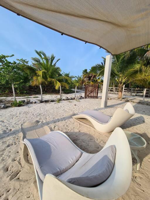エル・コージョCasa Perla Marina, Pequena Casa Frente A La Playa.アパートメント エクステリア 写真